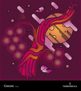 Coccio Syrah Terre di Bruca