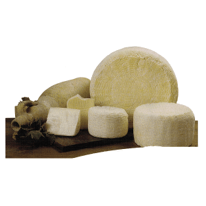 Pecorino Primo Sale