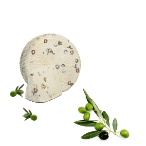 Formaggio Pecorino Primo Sale Fresco alle Olive Verdi