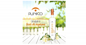 Zahare Liquore ai Fiori di Agrumi Punico 2