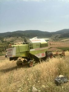 La Mietitura