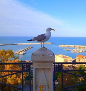 Sciacca e la Sicilia, una terra di sapori. Sciacca e la Sicilia, una terra di sapori.